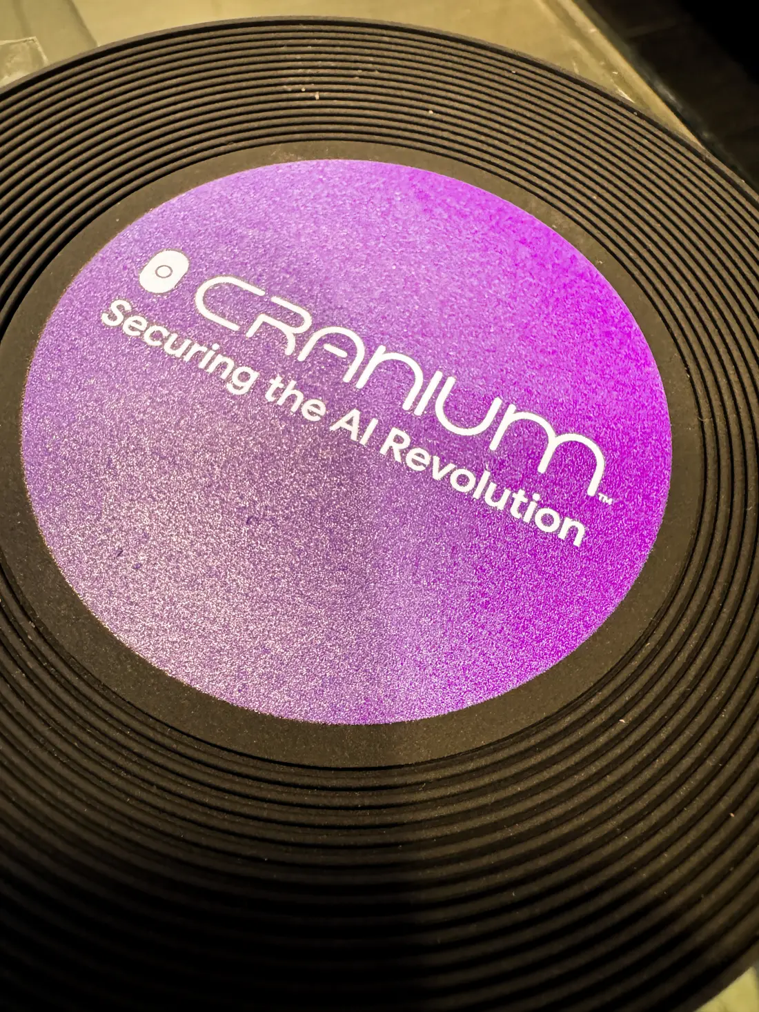 The &ldquo;Securing the AI Revolution&rdquo; record, label side up