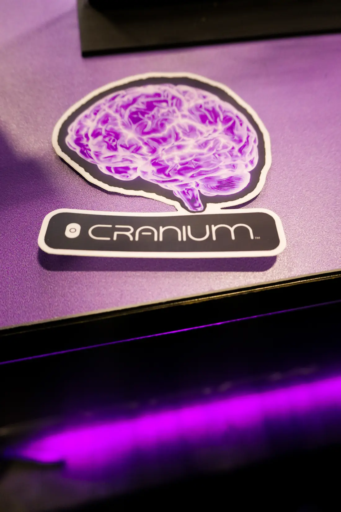 The Cranium brain sticker, take two